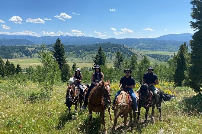 Horseback Riding with Grand Teton Views in Jackson Hole - Safety, comfort, and honest limitations