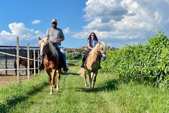 Horseback Riding with Pic Nic in Lazise Countryside - Starting at 9:30 at A.S.D. CS Ranch