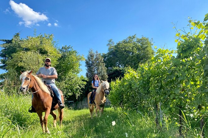 Horseback Riding with Pic Nic in Lazise Countryside - Colà and the vineyards of Bardolino