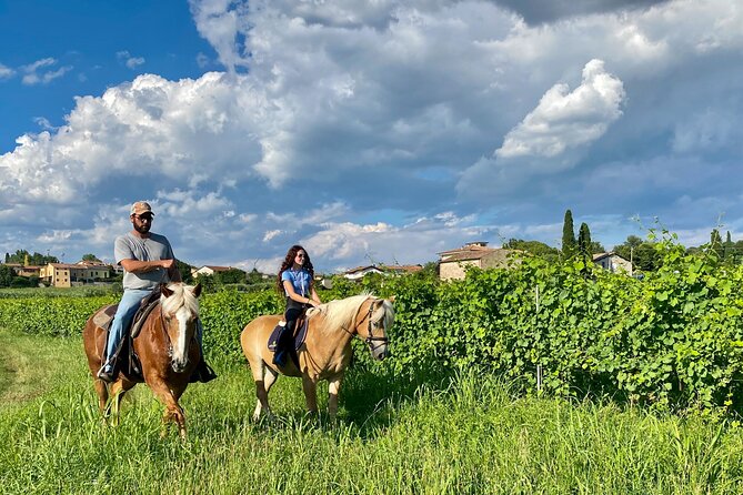 Horseback Riding with Pic Nic in Lazise Countryside - Apicoltura Morati and the farm tasting