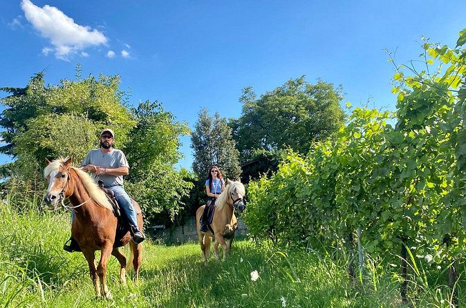 Horseback Riding with Pic Nic in Lazise Countryside - Is $156.20 a fair price?