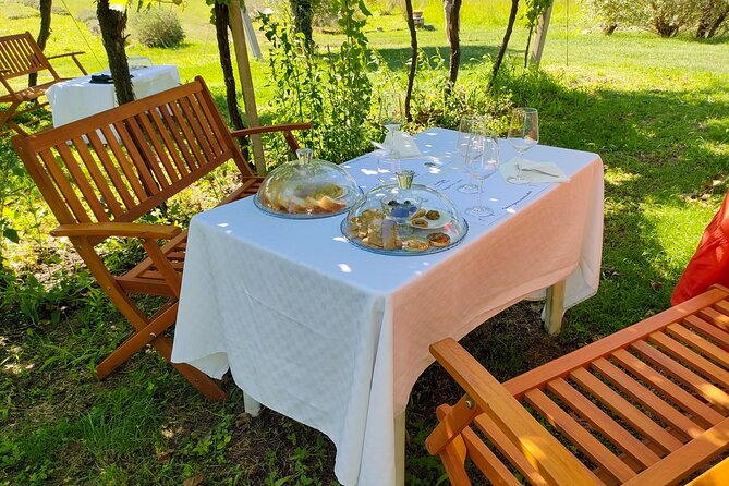 Horseback Riding with Pic Nic in Lazise Countryside - Who will enjoy this experience most?