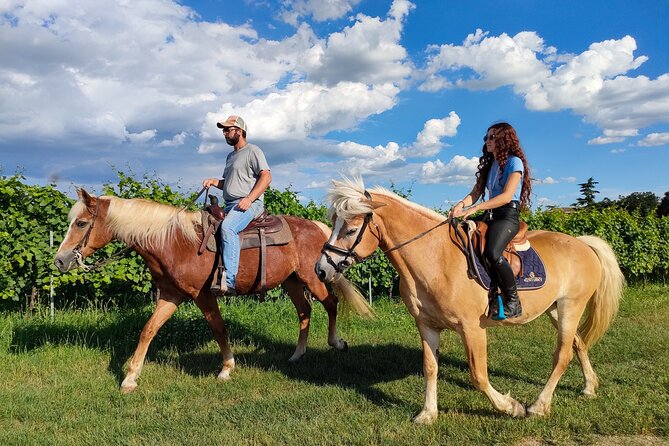 Horseback Riding with Pic Nic in Lazise Countryside - Useful planning details for the morning