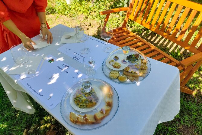 Horseback Riding with Pic Nic in Lazise Countryside - Riding near Lazise, away from the crowds