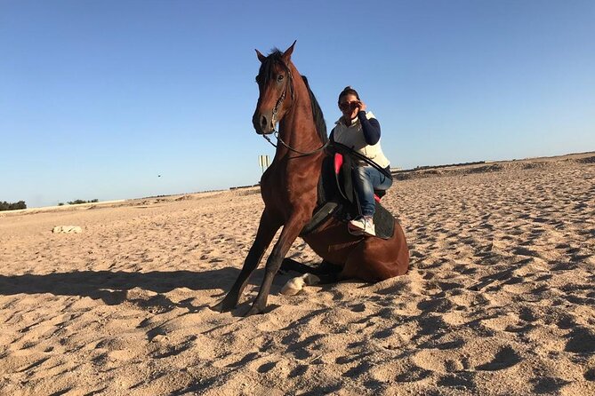 Horseback Riding with Pickup and Drop-off from Sharm El Sheikh - One hour or two along the Red Sea