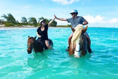 Horseback Riding with Pickup and Drop-off from Sharm El Sheikh