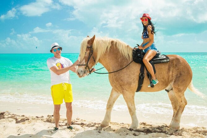Horseback Riding with Pickup and Drop-off from Sharm El Sheikh - The horses, equipment, and riding conditions