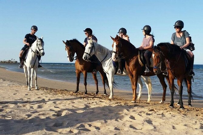 Horseback Riding with Pickup and Drop-off from Sharm El Sheikh - Who should book this horseback ride?