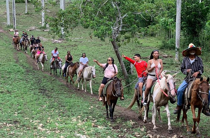 Horseback Riding with Pickup from Punta Cana - Is $65 a fair price?