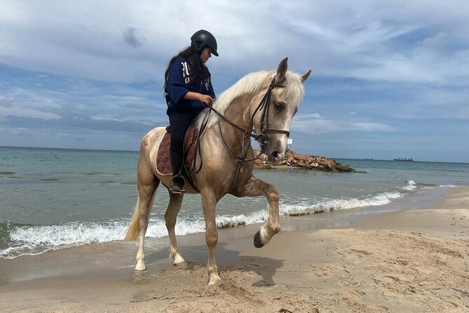 Horseback riding with private transfer - Meeting the Horses Before You Ride