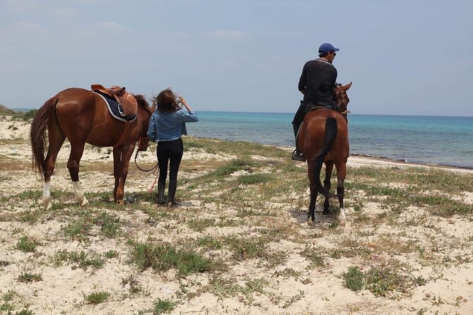 Horseback riding with private transfer - Reaching the Beach on Horseback