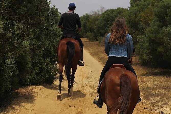 Horseback riding with private transfer - How the Guides Shape the Experience