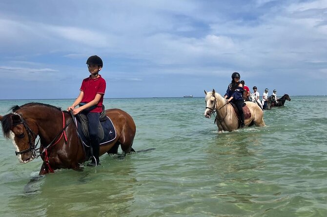 Horseback riding with private transfer - What $62.72 Buys You