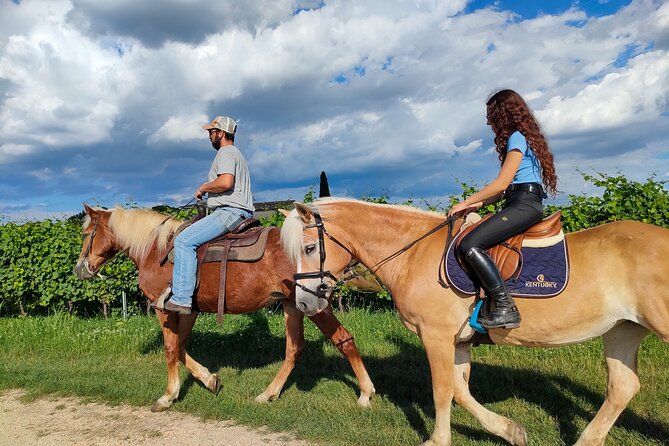 Horseback Riding with wine tasting in Lake Garda vineyards - What the two-hour ride includes