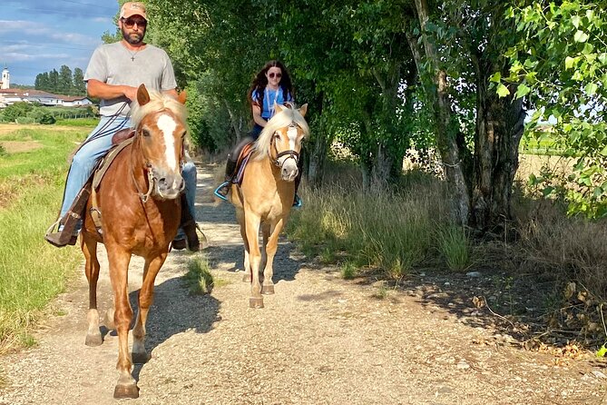 Horseback Riding with wine tasting in Lake Garda vineyards - Is $157.21 a fair price?