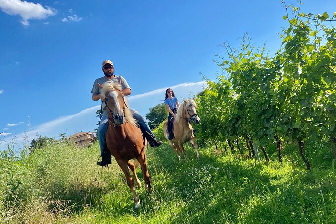 Horseback Riding with wine tasting in Lake Garda vineyards - Who will enjoy this most?