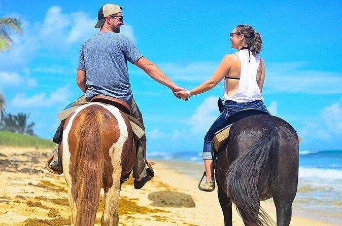 HorseBack Rinding to Macao Beach - Horses, Equipment, and Comfort