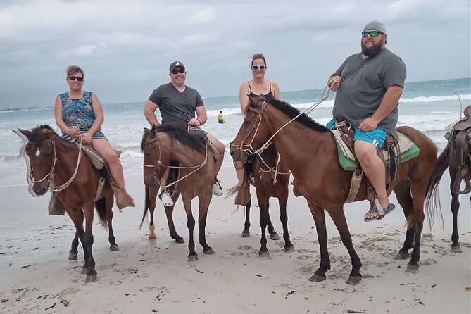 HorseBack Rinding to Macao Beach - Macao Beach, Sand, Palms, and Atlantic Air