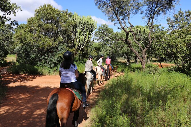 Horseback Safari Adventure in Hartbeespoort from Johannesburg - A gentle safari rather than a fast horse ride