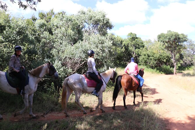 Horseback Safari Adventure in Hartbeespoort from Johannesburg - Two hours at Silkaatsnek Nature Reserve
