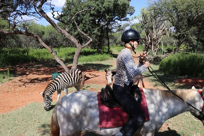 Horseback Safari Adventure in Hartbeespoort from Johannesburg - The guides make a real difference