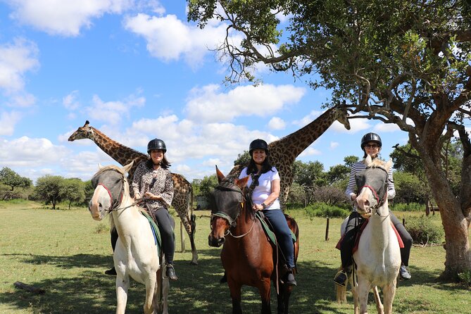 Horseback Safari Adventure in Hartbeespoort from Johannesburg - The 7:00 a.m. pickup from Johannesburg