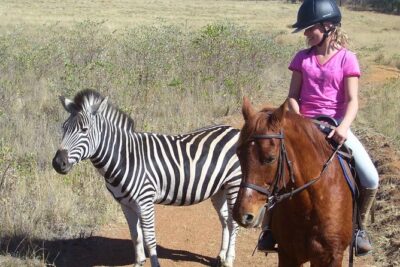 Horseback Safari Tour