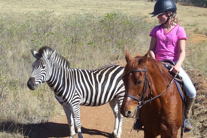 Horseback Safari Tour - Choosing and meeting your horse