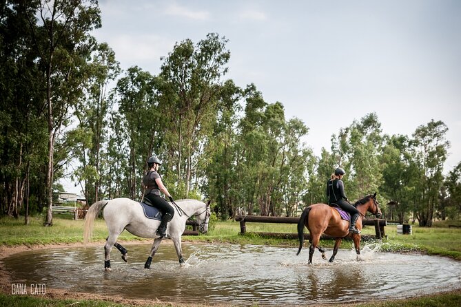 Horseback Small-Group Trail Rides in Muldersdrift - Riding through the neighboring farms