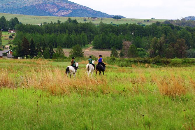 Horseback Small-Group Trail Rides in Muldersdrift - Is $34.69 a fair price?