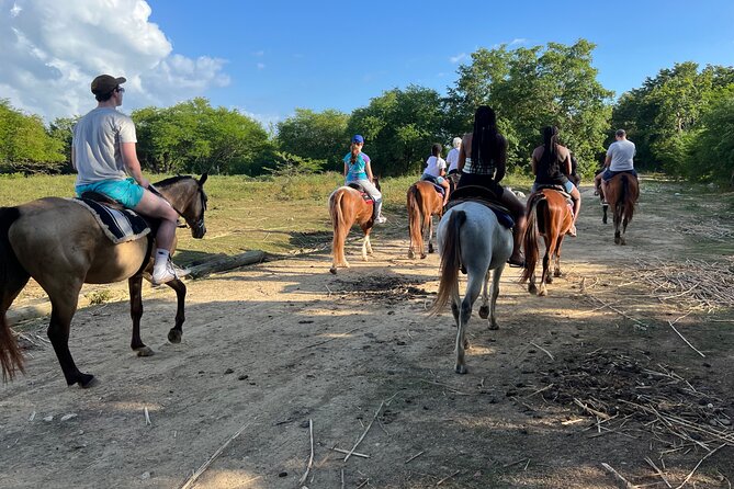 Horseback “SPECIAL”- Negril’s Beach Ride N’ Swim with Free photos/videos - Reaching the one-mile private beach