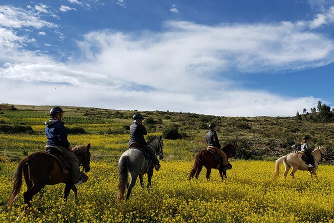 Horseback Tour in cusco to Temple of the Moon & Hidden temples - Timing, weather, and simple preparation