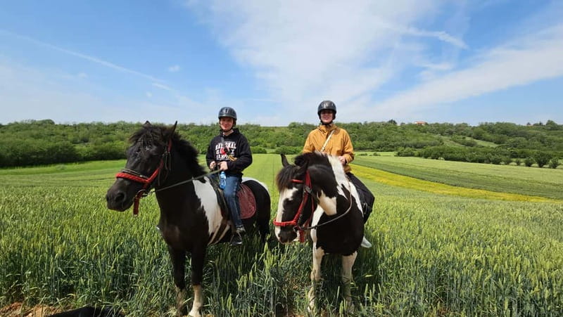 Horseback Trail Riding - Private Day Trip from Belgrade - Is $135 a fair price?