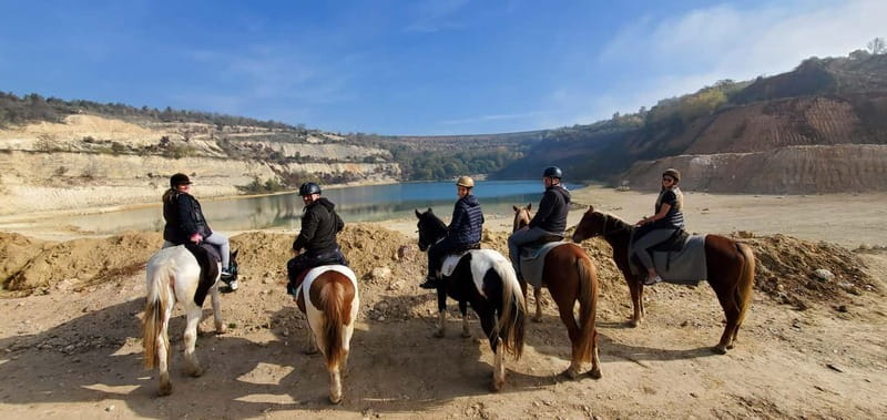 Horseback Trail Riding - Private Day Trip from Belgrade - Meeting the horses and learning the basics