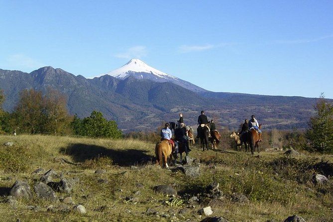 Horseback Trailride Excursion - Key points at a glance