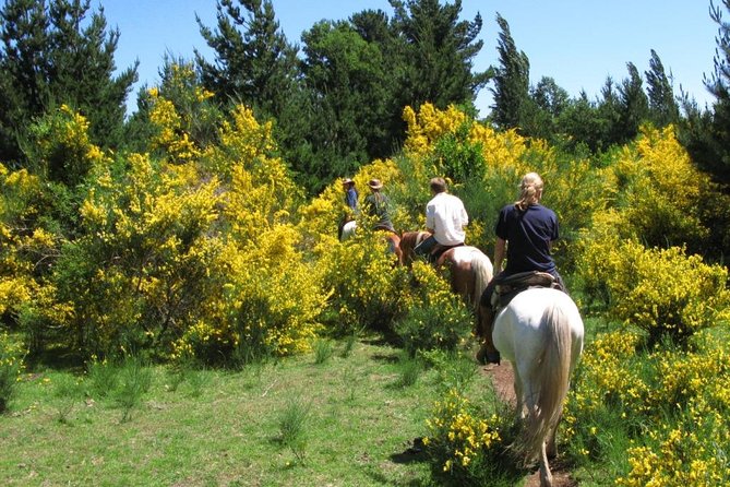 Horseback Trailride Excursion - Leaving Pucón for the Araucanía countryside