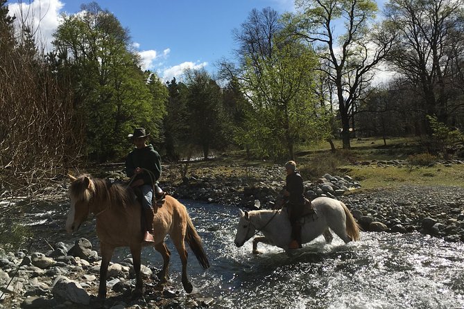 Horseback Trailride Excursion - Pastures and single-track trails near the ranch