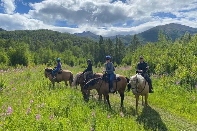 Horseback & Zipline Adventure in Alaska Mountains includes Lunch - Key points to know before booking