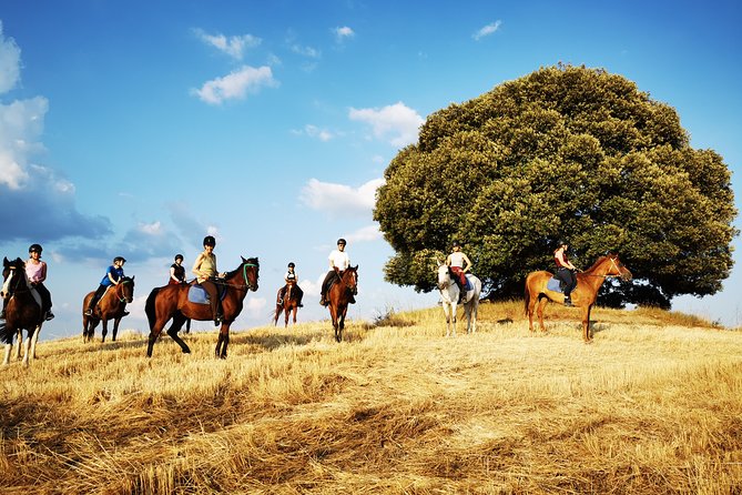 Horsebackriding - explore Tuscan nature - The scenery is the main event
