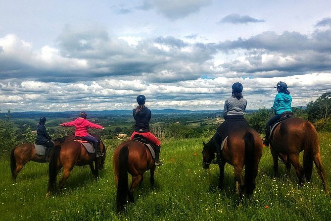 Horsebackriding - explore Tuscan nature - Timing, weather, and cancellation details