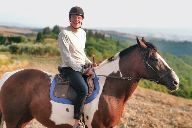 Horsebackriding - explore Tuscan nature - Meeting the horses and learning the basics