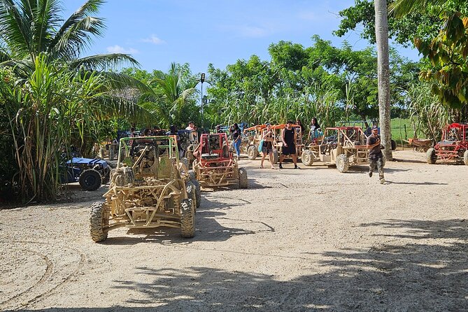 Horses, Buggy, and plantation in Chocaci Ranch - Key points before you book