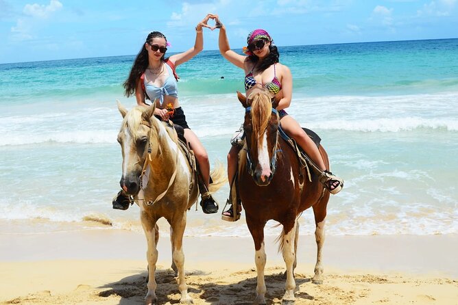 Horses, Buggy, and plantation in Chocaci Ranch - Horseback riding and the outdoor portion