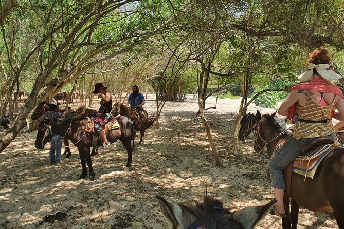 Horses on The Beach or Hot Springs - What the Horseback Riding Is Like for First-Timers