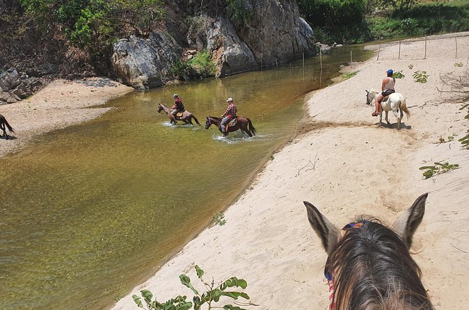 Horses on The Beach or Hot Springs - River Crossings and the Hot Thermal Pools