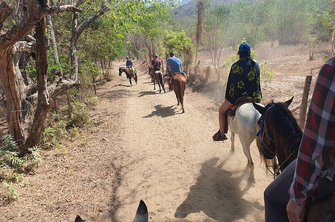 Horses on The Beach or Hot Springs - Getting Picked Up From Your Hotel or Airbnb