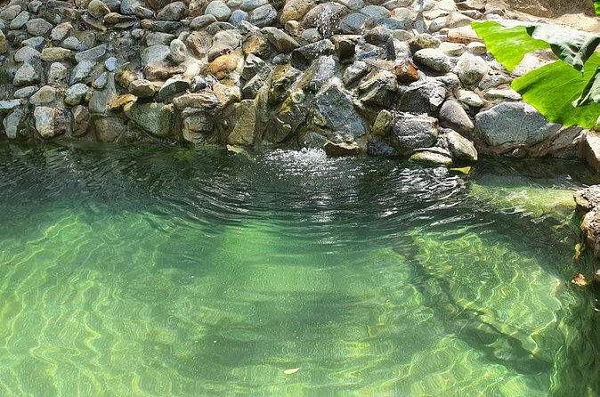 Horses on The Beach or Hot Springs - Is $164.29 a Fair Price?