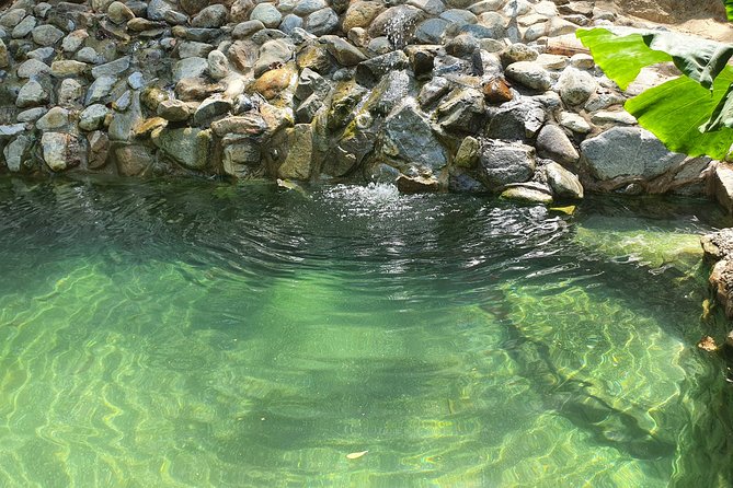 Horses on The Beach or Hot Springs - Booking, Weather, and Cancellation Details