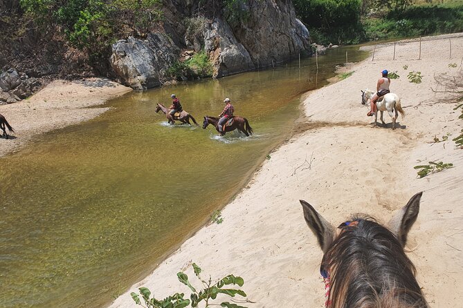 Horses on The Beach or Hot Springs - Laguna Manialtepec and the Wildlife Along the Water