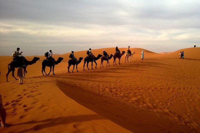 Hot Air Balloon Premium ,Camel Horse Ride,Dune Bashing ,Quad Bike - Camel and horse rides: brief desert introductions